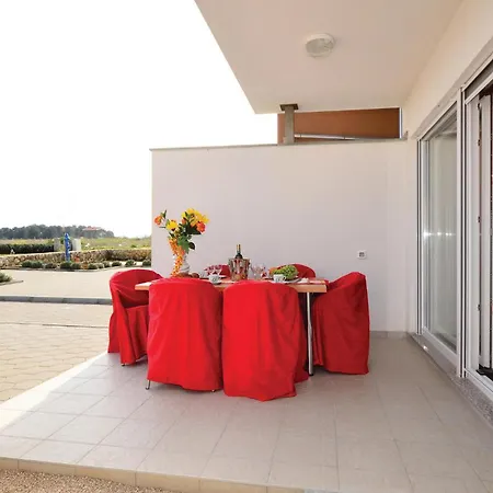 Pet Friendly In