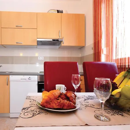 Que Admite Mascotas En Apartamento